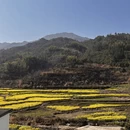 黄山旅游 缩略图 6