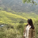 黄山旅游 缩略图 9