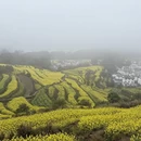 黄山旅游 缩略图 16