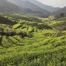 黄山旅游 缩略图 2
