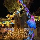 黄山旅游 缩略图 11