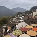 黄山旅游 缩略图 7