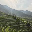 黄山旅游 缩略图 3