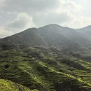 黄山旅游 缩略图 4