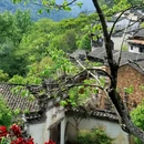 黄山旅游 缩略图 3