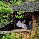 黄山旅游 缩略图 5