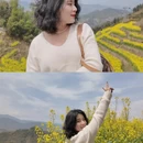 黄山旅游 缩略图 8