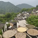 黄山旅游 缩略图 10