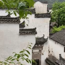 黄山旅游 缩略图 9