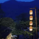 黄山旅游 缩略图 15