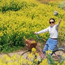 黄山旅游 缩略图 4