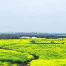 黄山旅游 缩略图 7
