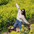 黄山旅游 缩略图 9