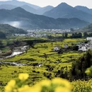 黄山旅游 缩略图 2