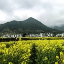 黄山旅游 缩略图 3