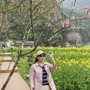 黄山旅游 缩略图 7