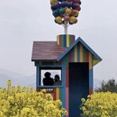 黄山旅游 缩略图 15