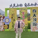 黄山旅游 缩略图 12