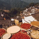 黄山旅游 缩略图 7