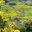 黄山旅游 缩略图 12