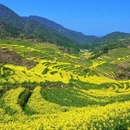 黄山旅游 缩略图 10