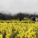 上饶旅游 缩略图 3