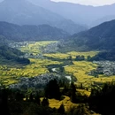 黄山旅游 缩略图 4