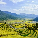 黄山旅游 缩略图 1