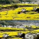 黄山旅游 缩略图 5