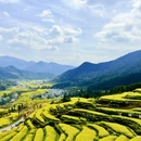 黄山旅游 缩略图 2
