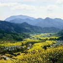 黄山旅游 缩略图 3