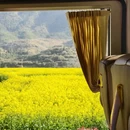 黄山旅游 缩略图 3