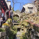 黄山旅游 缩略图 14