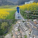黄山旅游 缩略图 5