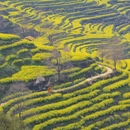 黄山旅游 缩略图 3