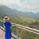 黄山旅游 缩略图 8