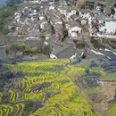 黄山旅游 缩略图 1