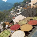 黄山旅游 缩略图 4