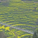 黄山旅游 缩略图 7