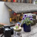 黄山旅游 缩略图 12