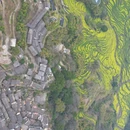 黄山旅游 缩略图 9