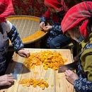 黄山旅游 缩略图 17