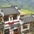 黄山旅游 缩略图 10