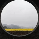 黄山旅游 缩略图 7