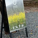 黄山旅游 缩略图 6