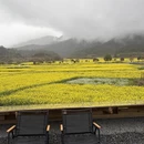 黄山旅游 缩略图 8