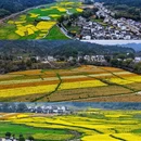 上饶旅游 缩略图 4