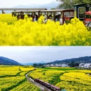 上饶旅游 缩略图 7