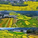 上饶旅游 缩略图 3