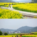上饶旅游 缩略图 6